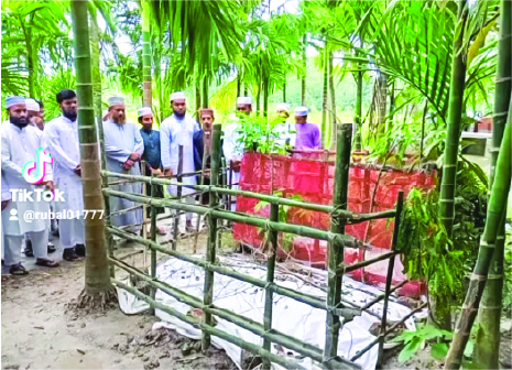 Image of মো: নাহিদুল ইসলাম 